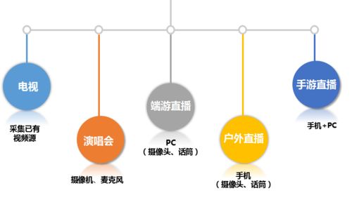 直播平台软件开发的全流程探索 云豹直播源码 csdn博客